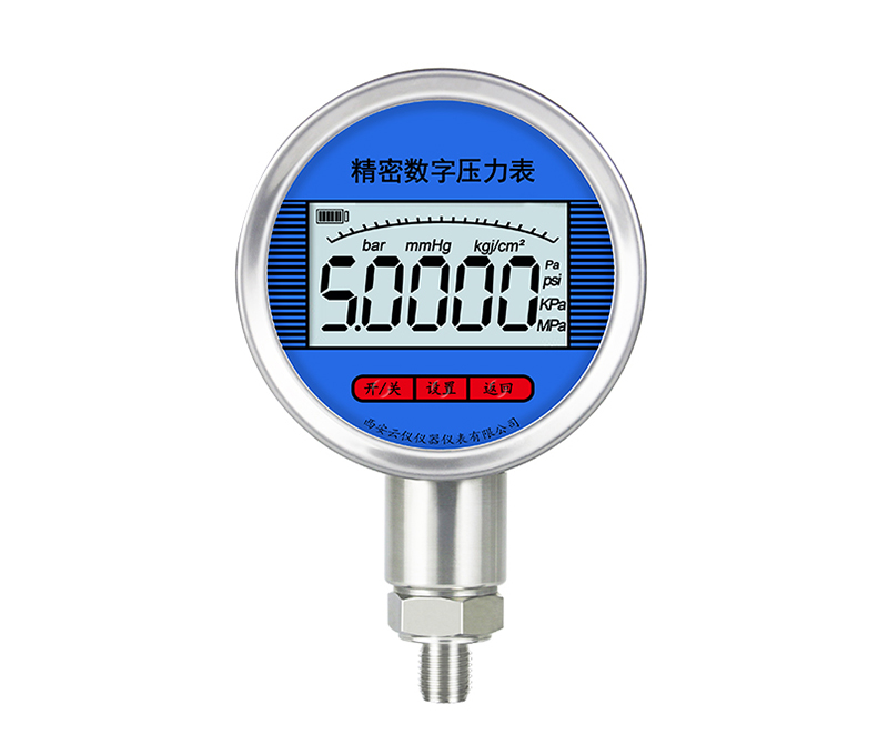 工業(yè)級數(shù)字壓力表